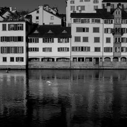 Reflection of buildings in river