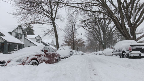 snow