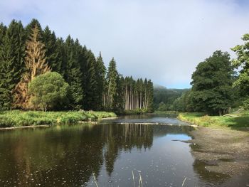 Scenic view of lake in forest against sky