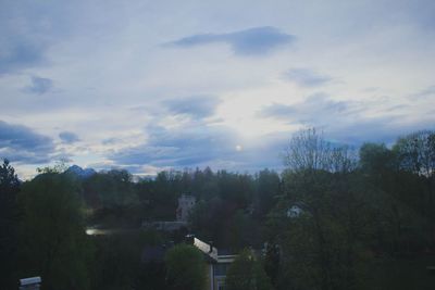 Scenic view of trees against cloudy sky