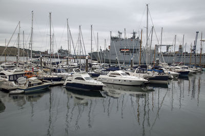 Sailboats moored in harbor