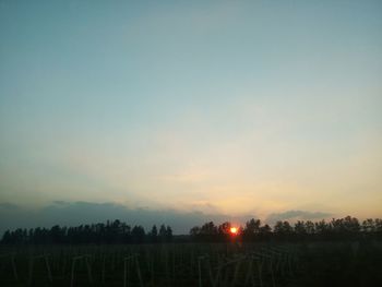 Scenic view of field against sky during sunset