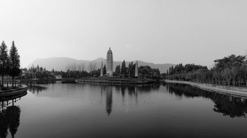 Reflection of trees in calm lake