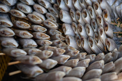 Full frame shot of fish for sale in market