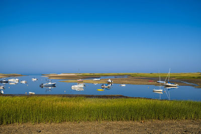 Scenic view of field against clear blue sky