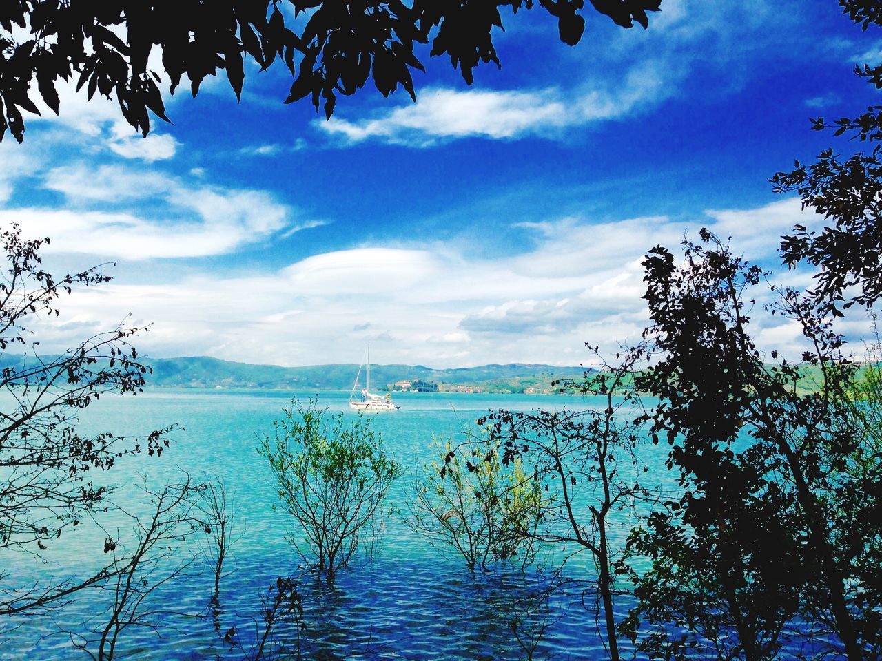 sky, water, tranquil scene, tranquility, scenics, cloud - sky, beauty in nature, tree, lake, cloud, nature, blue, cloudy, idyllic, reflection, sea, calm, branch, growth, day