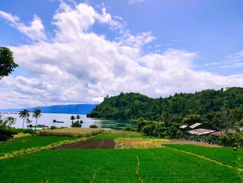 Scenic view of landscape against sky