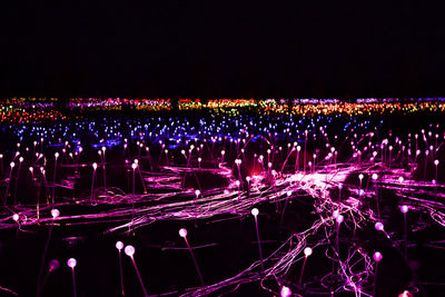 Illuminated christmas lights at night