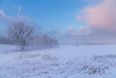 Scenic view of snow covered field against sky