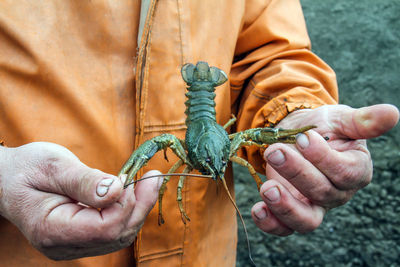 Midsection of man holding animal outdoors