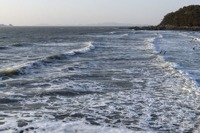 Scenic view of sea against clear sky