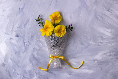 Close-up of flowers on snow