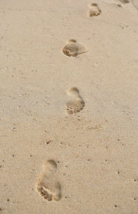 High angle view of footprints on sand