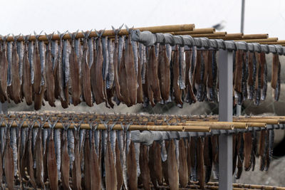 Close-up of fish drying on wooden post