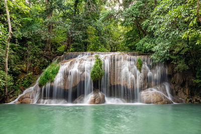 Scenic view of waterfall in forest