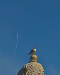 Low angle view of birds in flight