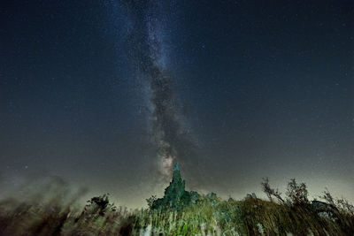 Low angle view of trees against sky at night