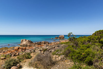 Scenic view of sea against clear sky