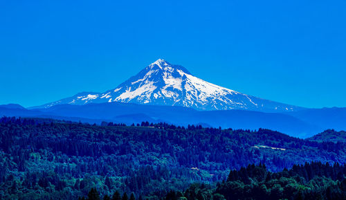 Scenic view of snowcapped mountains against clear blue sky