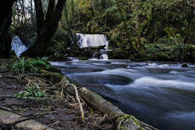 Scenic view of stream flowing through rocks