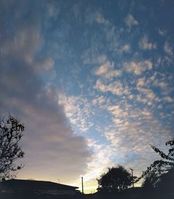 Low angle view of silhouette trees against sky