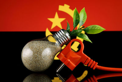Close-up of christmas decoration