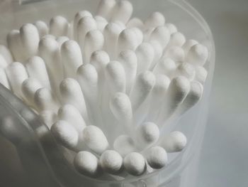 High angle view of white flower in container