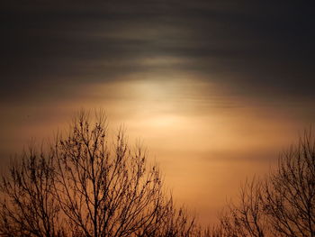 Low angle view of bare trees against sky at sunset