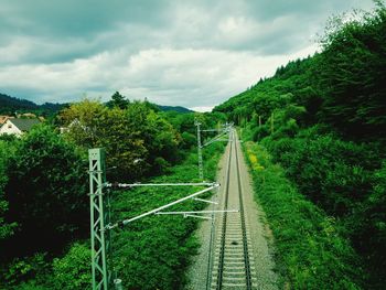 High angle view of railroad track passing through trees