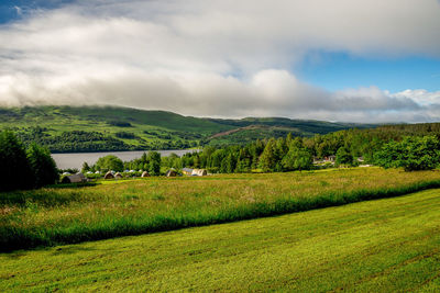 Scenic view of green field against sky