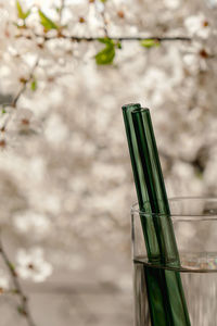 Reusable glass straws on nature background with green leafs spring flowers eco-friendly. zero waste