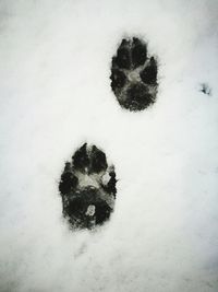 High angle view of footprints on snow on field