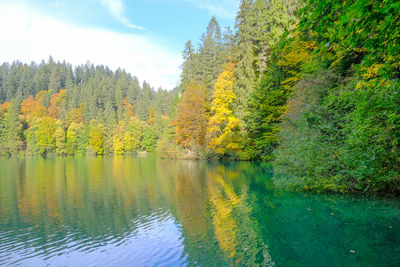 Scenic view of lake in forest during autumn