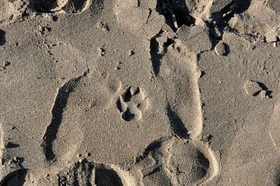 Full frame shot of sand