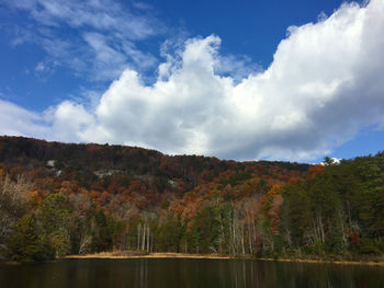 Scenic view of lake by trees against sky
