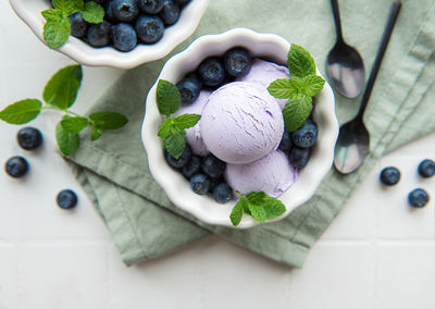 Homemade blueberry ice cream with fresh blueberries. sweet berry summer dessert.