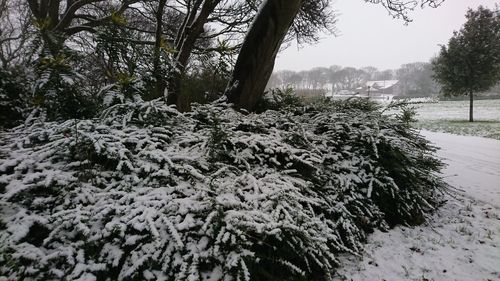 Close-up of snow on field against sky