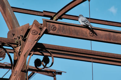 Low angle view of birds on roof against sky