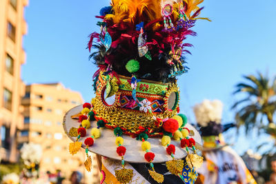 Close-up of multi colored flowering plant against sky