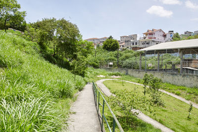 Footpath amidst trees and buildings against sky