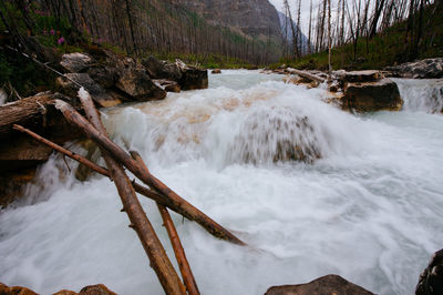 Scenic view of waterfall in forest