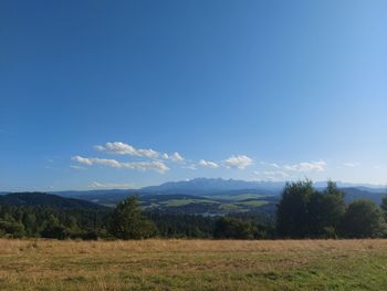 Scenic view of field against sky