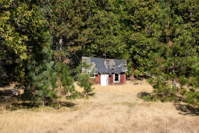 House on field by trees