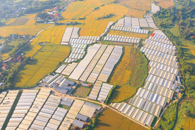 High angle view of agricultural field