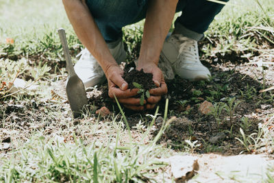 Low section of man picking plant
