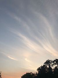 Low angle view of silhouette trees against sky at sunset