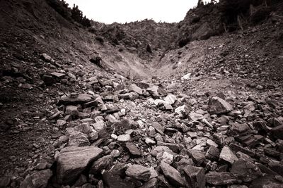 Surface level of rocks in the forest