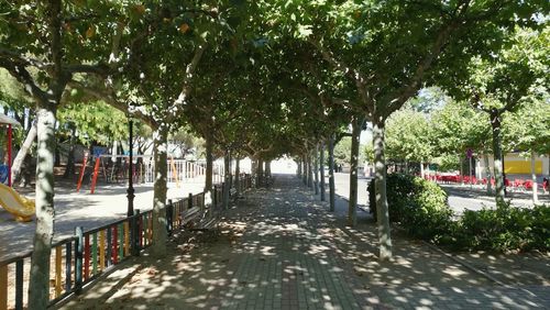 Walkway along trees in park