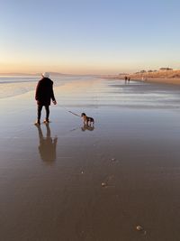 A dog and its owner reflections on a beach.