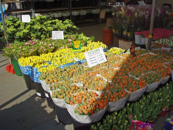 High angle view of various flowers for sale at market stall